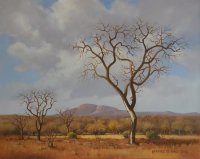 Oil on Stretched CanvasSize: (510x406x18)mmFrame: unframedSOLD 2015 (Art @ Blaauwklippen Stellenbosch)